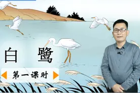 五年级上册语文《1.白鹭》第1课时，重新学课文，打好语文基础