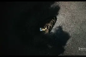 霸王茶姬《醒时春山》 #霸王茶姬 #视频制作 #短片 #宣传片