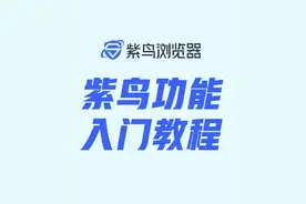 一个视频！带你快速上手#紫鸟浏览器 
311万跨境账号的选择