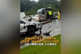 9月30日，四川成都双流区发生多车相撞事故，目击者称因路面湿滑，十多辆车相撞，有的车几乎报废。交警：现场已处理，正在调查中。视频封面