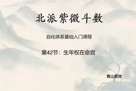 第42节：生年权在命宫 北派自化干货合集 #国学文化 #紫微斗数视频封面