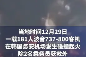 分析｜181人中仅2人幸存，#韩国惨烈空难背后有何疑点待解视频封面