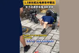 #一米五长蛇从电单车中窜出 女子迅速弃车报消防求助 #广东dou知道