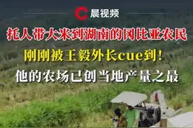 托人带大米到湖南的冈比亚农民，刚刚被王毅外长cue到！他的农场已创当地产量之最#媒体精选计划 #袁隆平视频封面