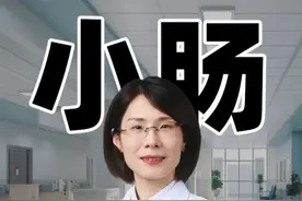 极易被忽视的小肠竟是营养吸收的主力军！ 极易被忽视的小肠竟是营养吸收的主力军！#消化内科曹燕飞 #消化科曹燕飞 #消化科 #消化内科 #肠胃健康视频封面