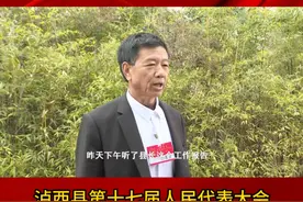 #泸西 县第十七届人民代表大会第四次会议代表声音（一）#两会视频封面