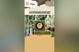 会唱歌的朋友圈教程 这波我必要装个大的#朋友圈 #教程 #音乐 #拍照教程 #高级朋友圈视频封面