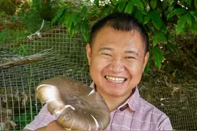 农村四哥割草捡到宝？两朵极品鸡枞菌，抓只鸡一起炖，汤鲜味美，饭都要多吃两碗#新农人计划2025 #乡村生活家 #乡村守护人视频封面