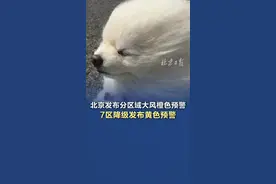 北京发布分区域大风橙色预警，7区降级发布黄色预警 #北京大风 #北京发布分区域大风橙色预警