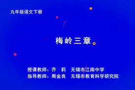 初中语文九年级下册-梅岭三章视频封面