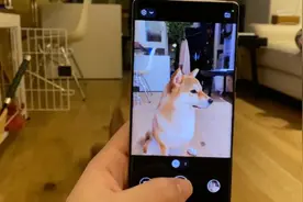 8分钟帮你解毒！Google Pixel 6 Pro简单开箱上手视频封面