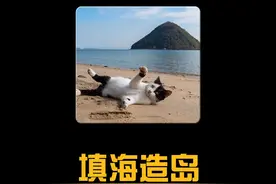 为什么填海造岛是我国的顶级阳谋？视频封面