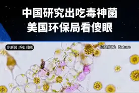 中国研究出吃毒神菌，美国环保局看傻眼 #科技 #大国科技 #硅基智能 #司马华鹏