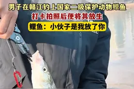 1月21日（发布），男子在赣江钓上国家二级保护动物鳤鱼，打卡拍照后便将其放生。鳤鱼：小伙子是我放了你。关注@小政视频 #钓鱼 #二级保护动物 #自然环境 （来源：@热度新闻）视频封面