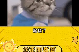 交社保不影响应届生身份了！山东事业单位招聘重新界定应届生身份 #山东事业单位统考 #山东事业单位 #山东事业编 编视频封面