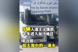 迫于国际社会压力 9辆人道主义援助卡车进入加沙！联合国：就如大海里一滴水 #加沙 #以色列 #内塔尼亚胡视频封面
