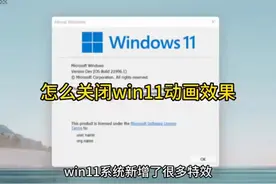 怎么关闭win11动画效果 #科技  #it  #怎么关闭win11动画效果