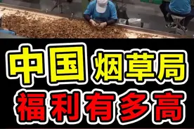 中国烟草到底有多赚钱？每年缴税1.44万亿，军费全靠烟民 #科学脑洞上分赛 #热点 #奇闻趣事 #军事科普 #军事科技