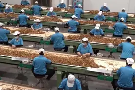 中国烟草到底有多赚钱？每年缴税1.44万亿，军费全靠烟民 #科学脑洞上分赛 #热点 #奇闻趣事 #军事科普 #军事科技