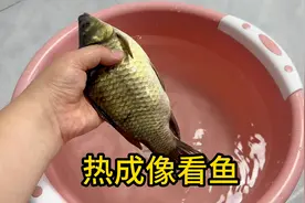 解答一下钓鱼人的疑惑：用热成像到底能不能看到水里的鱼？视频封面