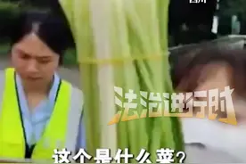 司机拉蔬菜被收28元过路费起争执 这到底是韭菜“花”还是“苔”（吕）#社会百态