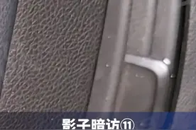影子暗访丨#肉贩子称售出狐貉肉到了南方当兔子肉卖 ，到了北方做牛肉干卖#澎湃315调查视频封面
