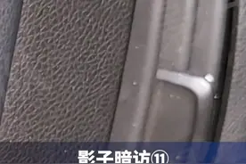 影子暗访丨#肉贩子称售出狐貉肉到了南方当兔子肉卖 ，到了北方做牛肉干卖#澎湃315调查视频封面