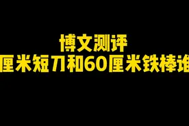 博文测评20厘米短刀和60厘米铁棍谁强？ #近身搏斗 #格斗防身视频封面