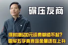 这年头周鸿祎都敢用雷军的AI视频玩梗了，雷总还是太亲民了 #雷军视频封面
