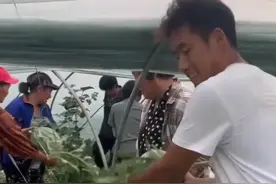 种植西瓜辛苦劳动半年，哪料遇上不景气的市场，张女士感到无奈的同时，也心疼一直尽心尽力的丈夫。#瓜农不易 #生活百般滋味你要笑着面对 来源：@大腾腾的腾视频封面