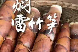 带你们看看我妈是怎么用盐焖笋，冰箱放1年都不会空心还不会坏 #春笋#竹笋  #抖音美好食光 #一口吃掉这里的春天 #2024新农人计划视频封面