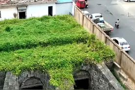 修路的时候为什么不改道呢？#琅琊王陵遗址#旅行大玩家#吹爆美好目的地#内容启发搜索#发现中国之旅视频封面