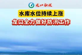 水库水位持续上涨，龙口全力做好防汛工作#防汛视频封面