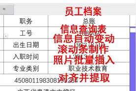 员工档案信息表数据随工号变动而变动，照片批量插入和提取