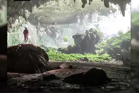 同事非让我站那么高，俯视洞口时腿都软了 #亮记生物鉴定视频封面