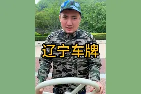 辽宁车牌之歌 #曲老撕