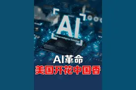 中美AI大对比：美国股市炒泡沫，中国产业真落地 #硬核深度计划