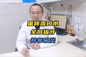 猫咪流口水，说是口炎，全口拔牙！实则另有隐情！视频封面
