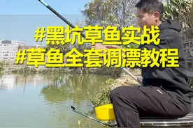 黑坑草鱼详细调漂教程。 #原来钓鱼才是抖音运动顶流 #草鱼调漂 #钓草鱼 #草鱼钓法视频封面