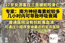 27岁女游客在三亚被蛇咬身亡。专家提醒，普通医院没有抗蛇毒血清，应尽快去定点医院视频封面