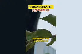 宁波6月10日入梅！比常年偏早2天视频封面