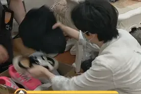 #井胧帮管乐收拾房间翻到前任照片 井胧一个不小心立马道歉，管乐：这人你认识是你大学同学#井胧 #管乐 #我家那闺女2025