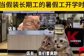 老板：你们补药走啊 #猫meme视频封面