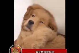 这妥妥就是视觉盛宴啊#黄霄雲献唱电影落凡尘片尾曲 #电影落凡尘视频封面