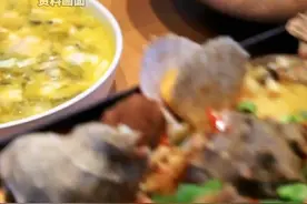 男子好面子，喜欢在朋友面前炫耀，竟侵吞单位90余万元挥霍一空。视频封面
