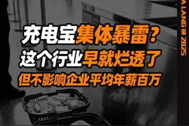 充电宝集体暴雷？行业烂透了，但企业平均年薪百万？ #掘金计划2025 #dou来守护钱袋子 #人间清醒商业问答 #充电宝召回 #罗马仕充电宝