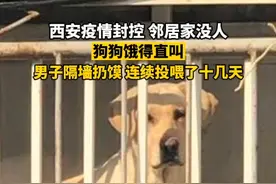1月11日（发布时间），西安疫情封控，#大叔每天给邻居家狗狗扔摸吃 。视频封面