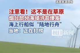 浒苔爆发海面变“草原”，随风一边漂一边长，行船如“陆上行舟”