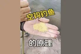 揭秘空钩钓鱼的原理 难怪上的都是大鱼#钓鱼 #钓鱼技巧 #千谷川山谷 #空钩钓鱼