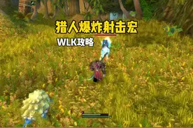 猎人434爆炸射击宏 距离显示插件#魔兽世界 #巫妖王之怒